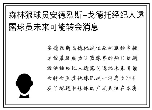 森林狼球员安德烈斯-戈德托经纪人透露球员未来可能转会消息
